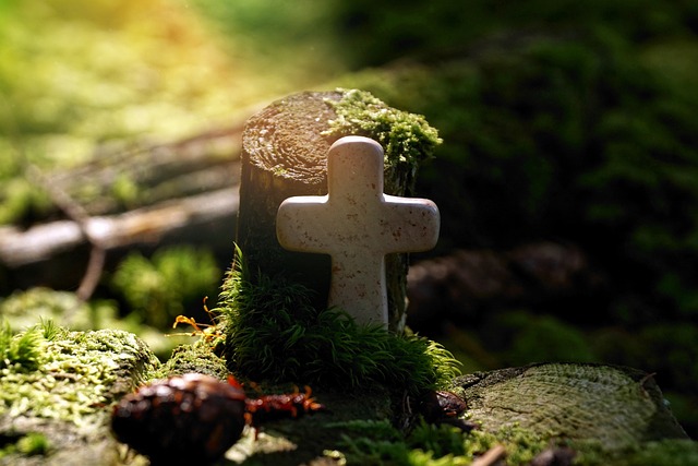 Gibt es Beweise für ein Leben nach dem Tod?