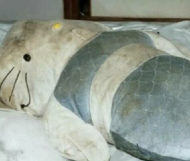 Die Hello Kitty Murder Meerjungfrau Puppe, in der der Schädel von Fan Man-yee gefunden wurde.